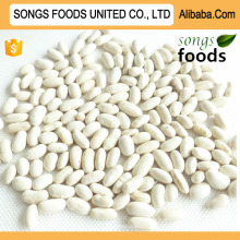 Cheap Price White Kidney Beans New Crop 2016